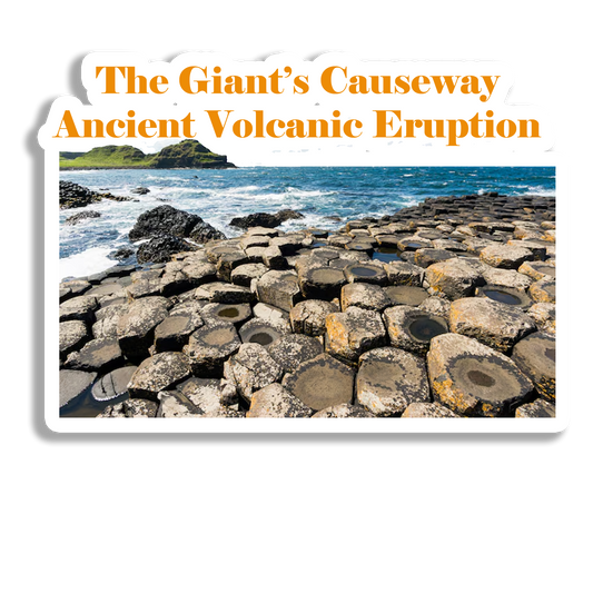 The Giant's Causeway Beautiful  Souvenir Fridge Magnet