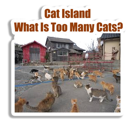 Cat Island Souvenir Fridge Magnet