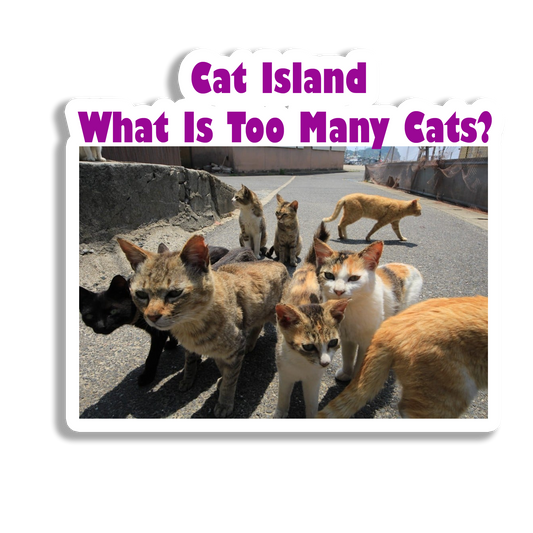 Cat Island Beautiful Souvenir Fridge Magnet
