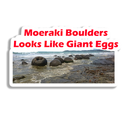 Moeraki Boulders Beautiful  Souvenir Fridge Magnet