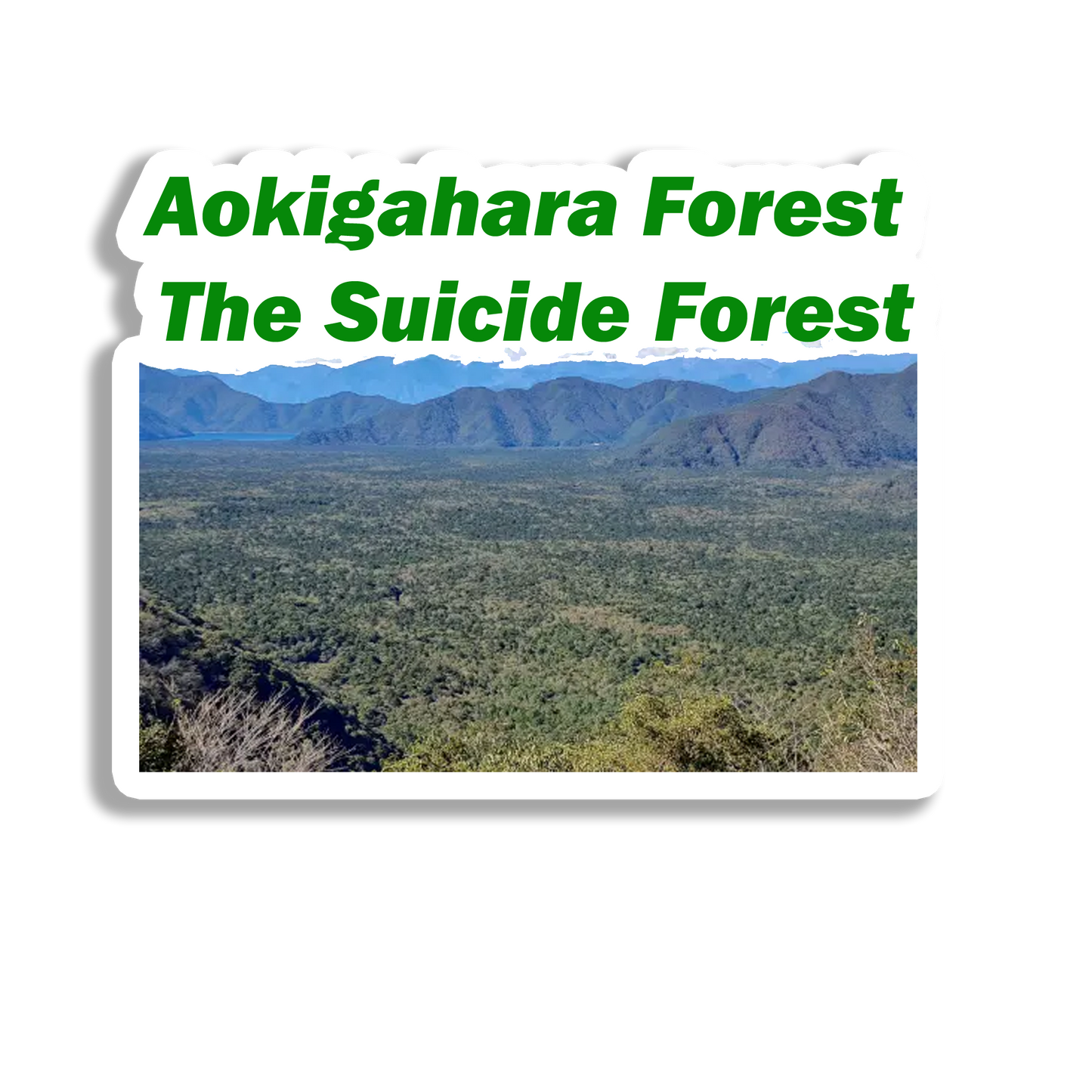 Aokigahara  Forest Elegant  Souvenir Fridge Magnet