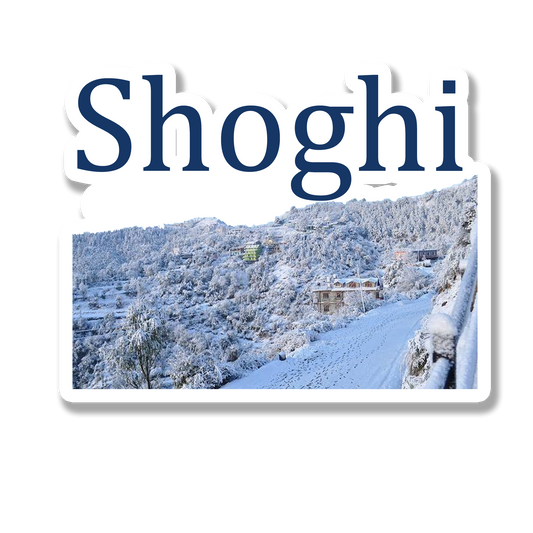 Shoghi  Souvenir Fridge Magnet