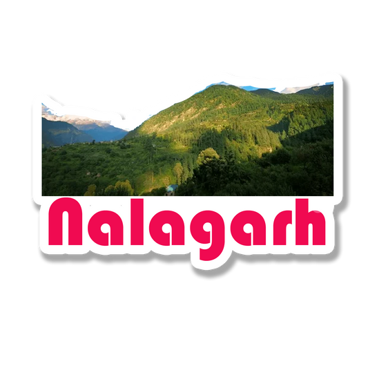 Nalagarh Beautiful Souvenir Fridge Magnet