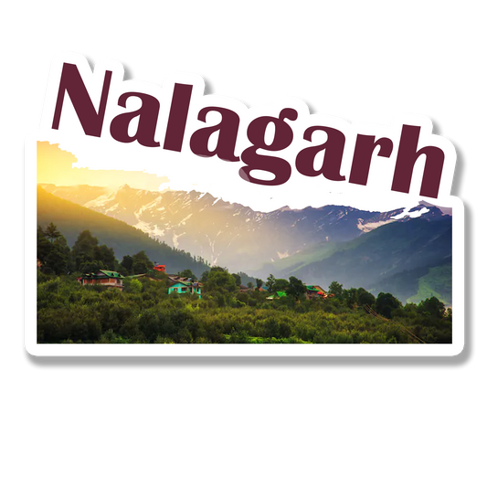 Nalagarh Elegant  Souvenir Fridge Magnet