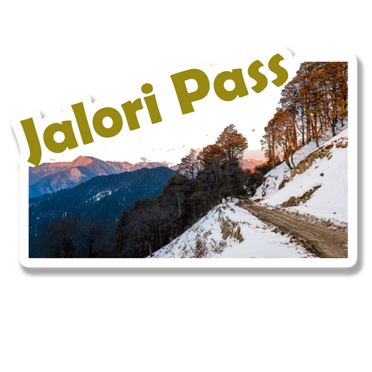 Jalori Pass Beauty Souvenir Fridge Magnet