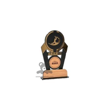ShopTwiz Cricket Best Trophy with Customized Logo and Text