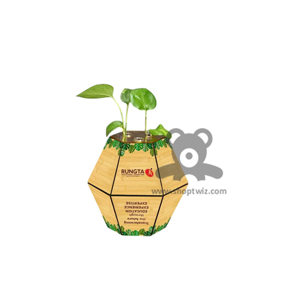 Customized Hexagonal Planter Calendar | Eco-Friendly Product | Corporate Gift