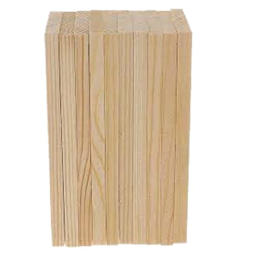 ShopTwiz Natural Pine Wood Rectangle Panel for Arts & Craft/Furniture/Decoration/Macrame, 10 Pieces (25 mm X12 mm x 10 inch)
