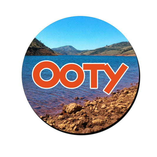 ShopTwiz Ooty Awesome Decorative Large Fridge Magnet